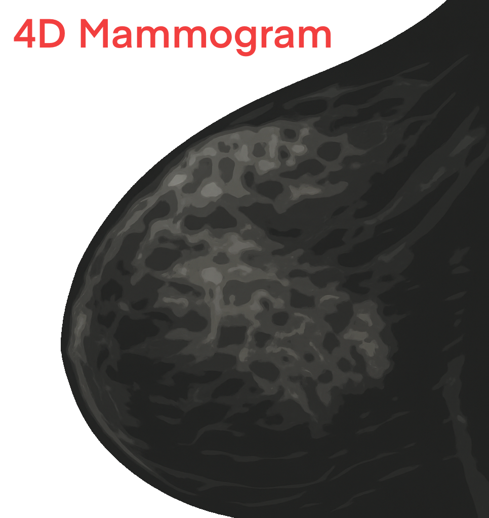 4D mammogram overlay (crossfade target)